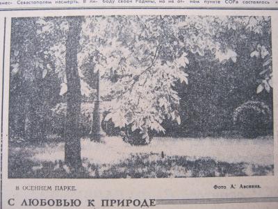 Прикрепленное изображение: IMG_2538.JPG